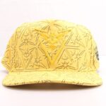 Casquette Pokémon Électhor