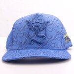 Casquette Pokémon Artikodin
